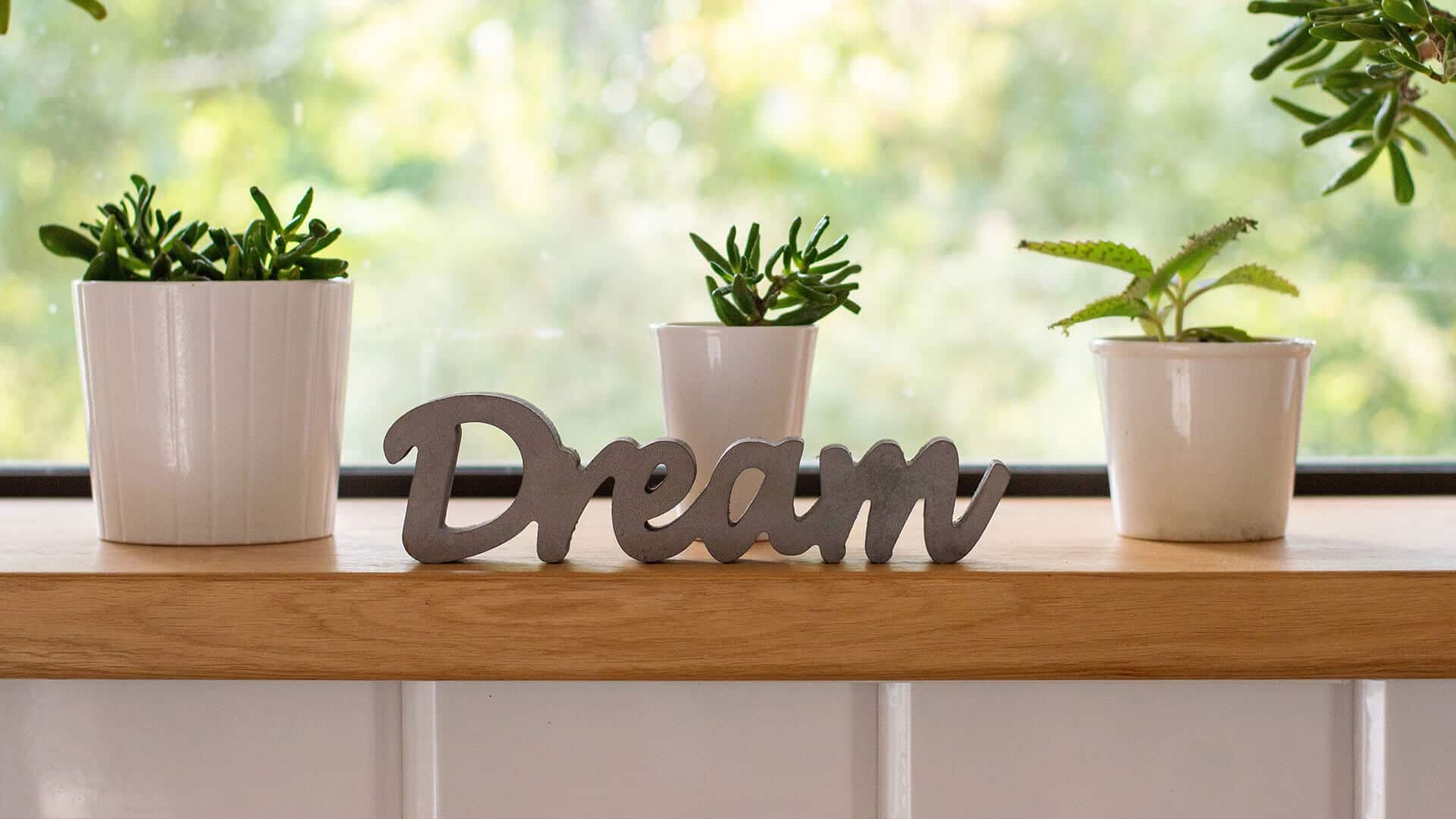 artificial plants decorate dream kitchen