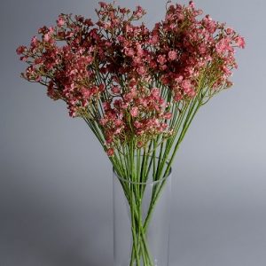 faux gypsophila