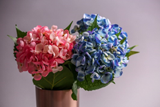 Artificial Summer Hydrangeas.