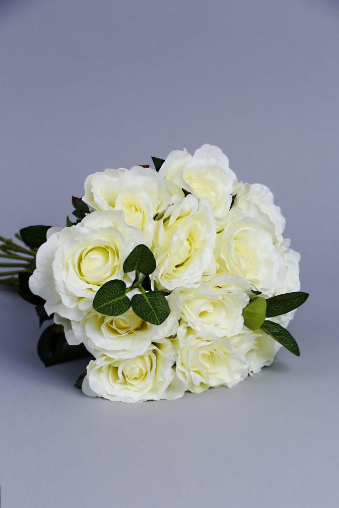 White sympathy roses