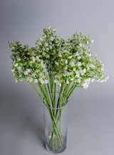 White Artificial Gypsophila