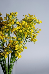 Why Artificial Gypsophila Could be the Best Flower for you! 4 Yellow Artificial Gypsophila