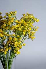 Yellow Artificial Gypsophila