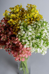 Why Artificial Gypsophila Could be the Best Flower for you! 1 Artificial Gypsophila