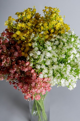 Artificial Gypsophila