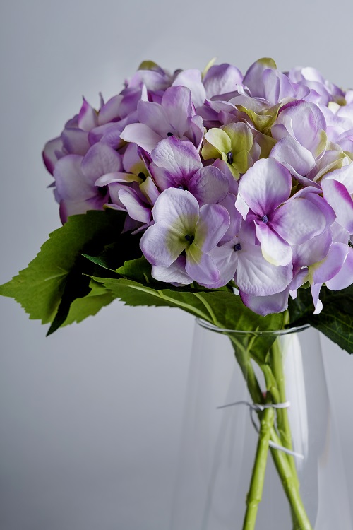 Artificial Transitional Flowers (Hydrangea)