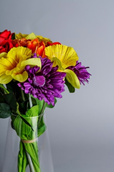 Mood Booster Flowers- Gerbera daisy bouquet