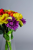 Our 5 Favourite Mood Booster Flowers to Beat the Winter Blues 1 Mood Booster Flowers- Gerbera daisy bouquet